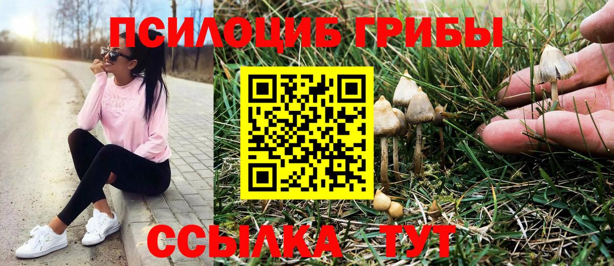 Галлюциногенные грибы ЛСД  Вход с VPN  Коряжма  Галлюциногенные грибы Cubensis 