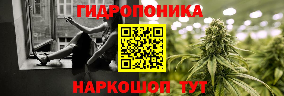 МАРИХУАНА Bruce Banner  Канабис семена  Коряжма  Марихуана THC 21%  Вход с VPN  Шишки марихуана марихуана 
